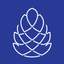 MySTFCU Access icon