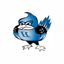 Bluebird Brew Cafe icon