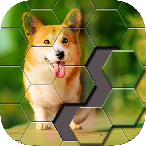 Block Hexa Jigsaw Puzzle app icon