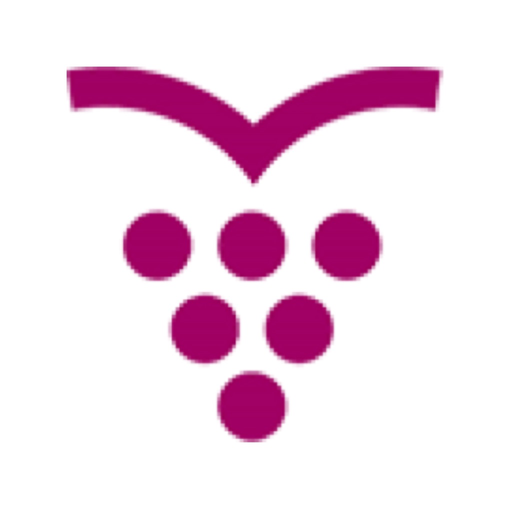Someljė mokykla app icon