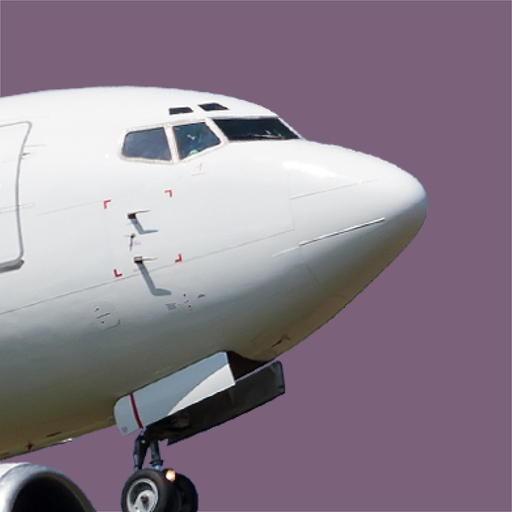 B737CL Questions app icon