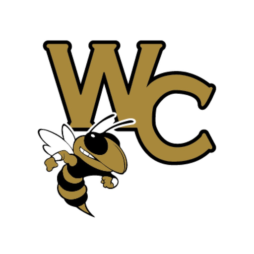 Wayne County GA Schools app icon