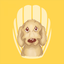 Monster Dance icon