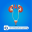 Excretory System - EduTech Era icon
