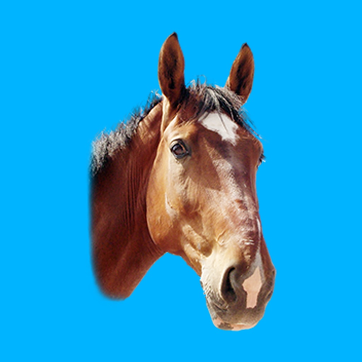 ManegePlan app icon