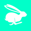 Pavemnt icon