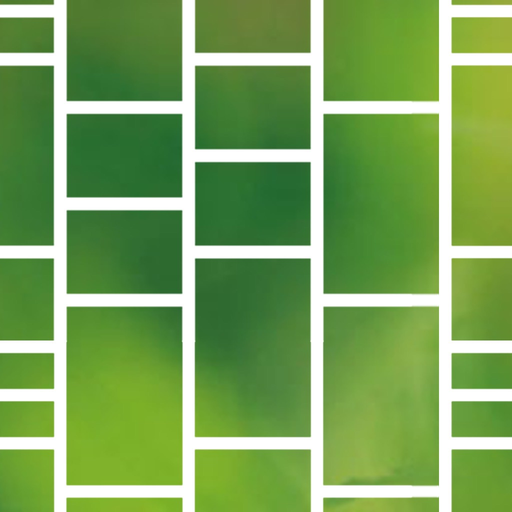 Cami Ladder app icon