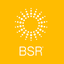 BSR 2020 icon