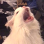 Thurston Waffles: MDHE! icon