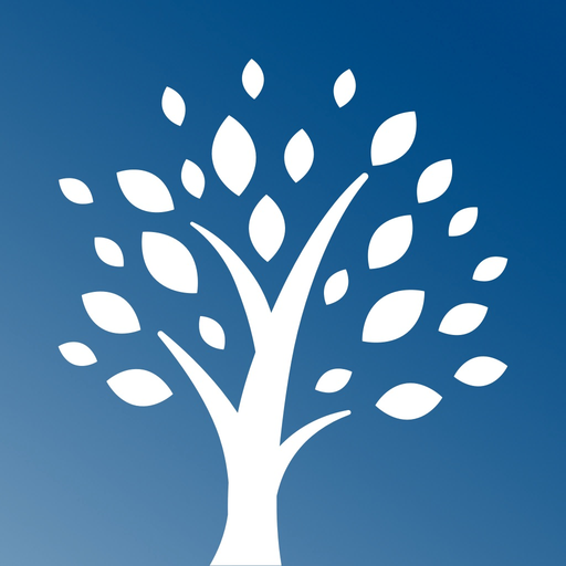 LSB360 app icon