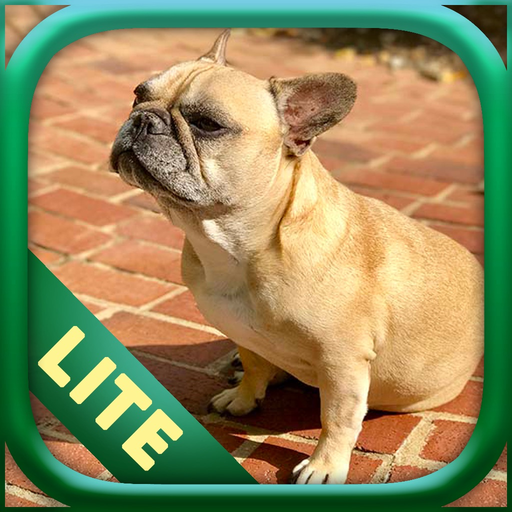 Dogs: Lite app icon