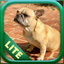 Dogs: Lite icon