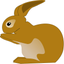 Animo - Fun way to learn icon
