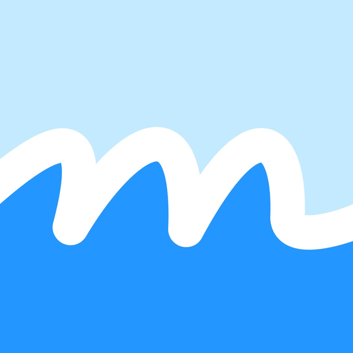 MoneyTide - Expense tracker app icon