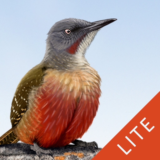 Sasol eBirds South Africa LITE app icon