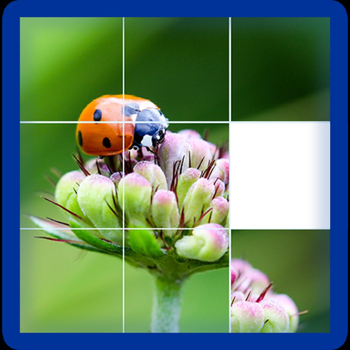 Photo Logic Game app icon
