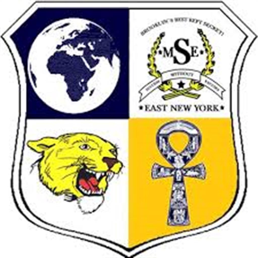 East NY MS of Excellence app icon