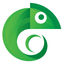 ENA icon