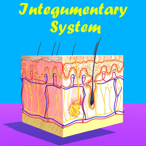 Skin: Integumentary System app icon
