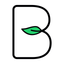 Bilzo icon