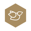 Honeyguide Tips icon