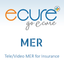 Ecure-MER icon