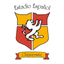 Estadio Español Chiguayante icon
