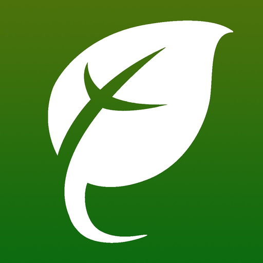 LifeDiscipler app icon