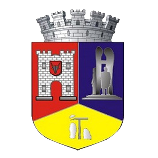 Municipiul Dej app icon