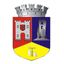 Municipiul Dej icon