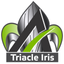 Triacle Iris icon
