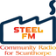 Steel FM icon