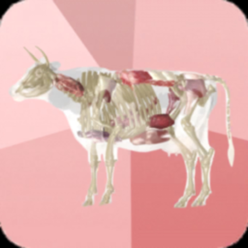 Beef Cuts 3D app icon
