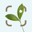Plant Identifier: Snap scanner icon