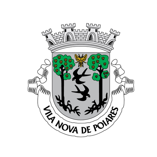 VivaPoiares app icon