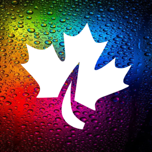 Toronto Village app icon