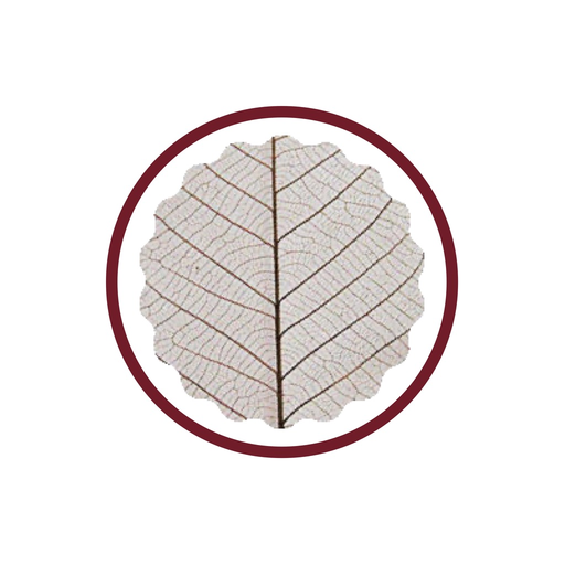 Sajva Service app icon