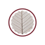 Sajva Service icon