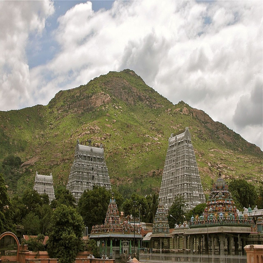 Bhagawad Slokas app icon