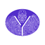 Yoorz icon