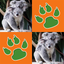 Zoo Animals Matching Game icon