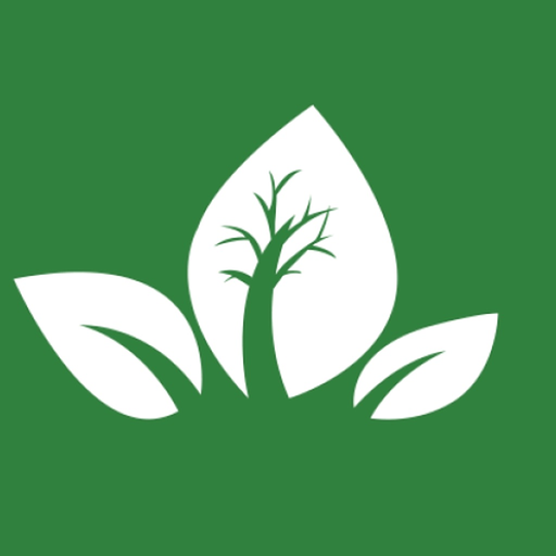 Mashtal Qatar app icon