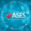 Plano Ases icon