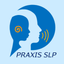 Praxis SLP Practice Test Q&A icon