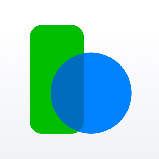 Balance Pro: Money & Budget app icon