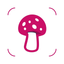 Mushroom Identifier by photo icon