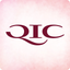 QIConnect icon