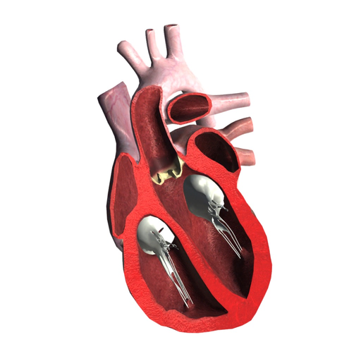 Heart AR app icon