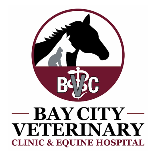 Bay City Vet and Equine app icon