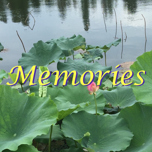 Memories: Photo Widget app icon